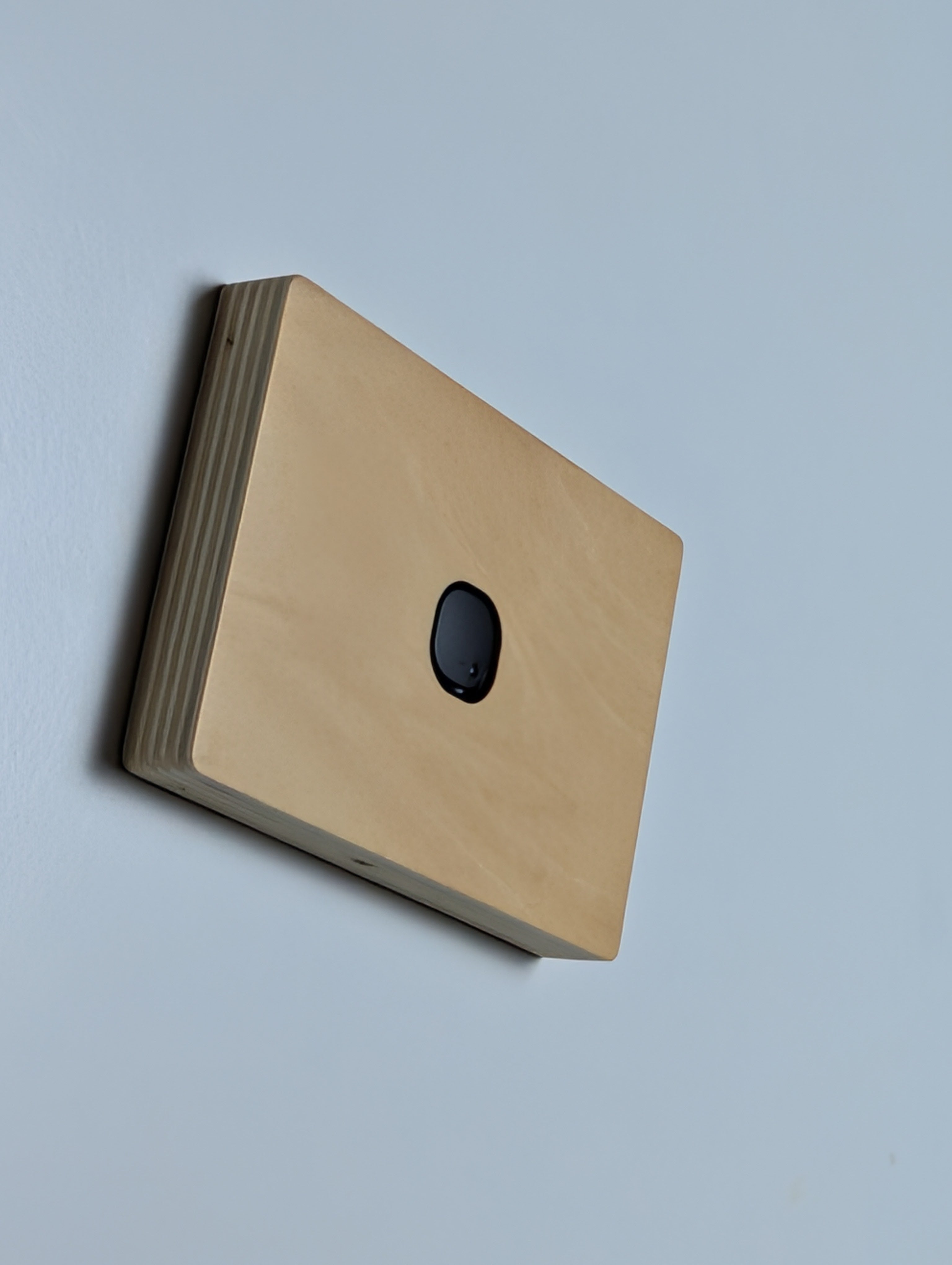 Plywood 1 Gang Cover