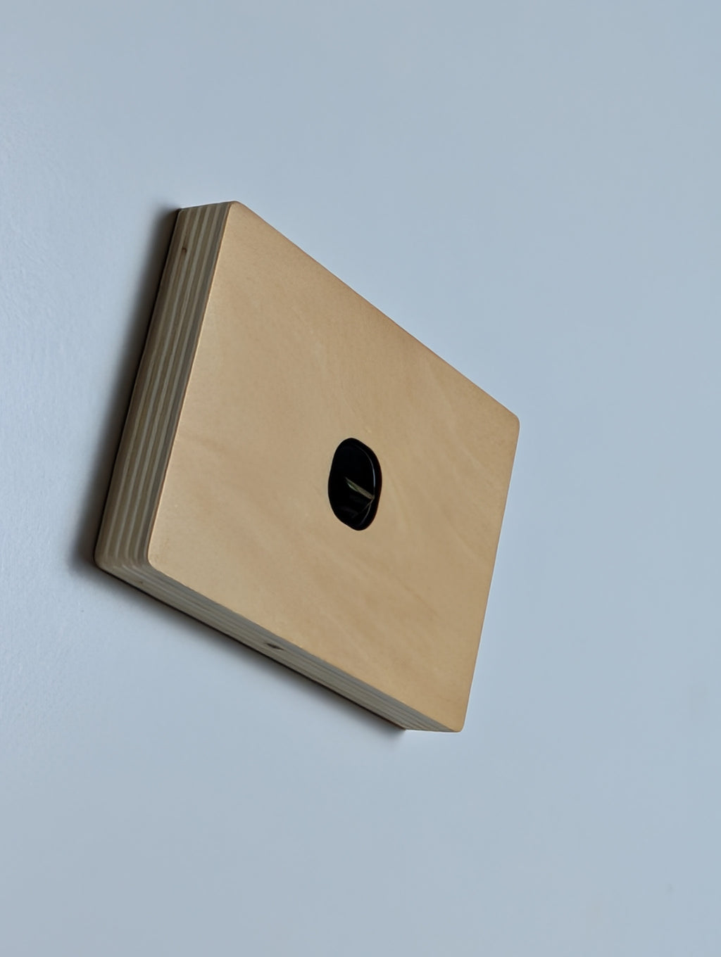 Plywood 1 Gang Cover