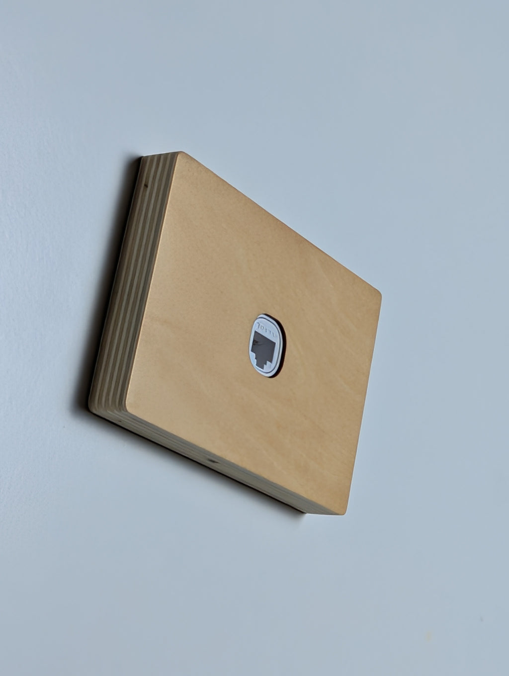 Plywood 1 Gang Cover