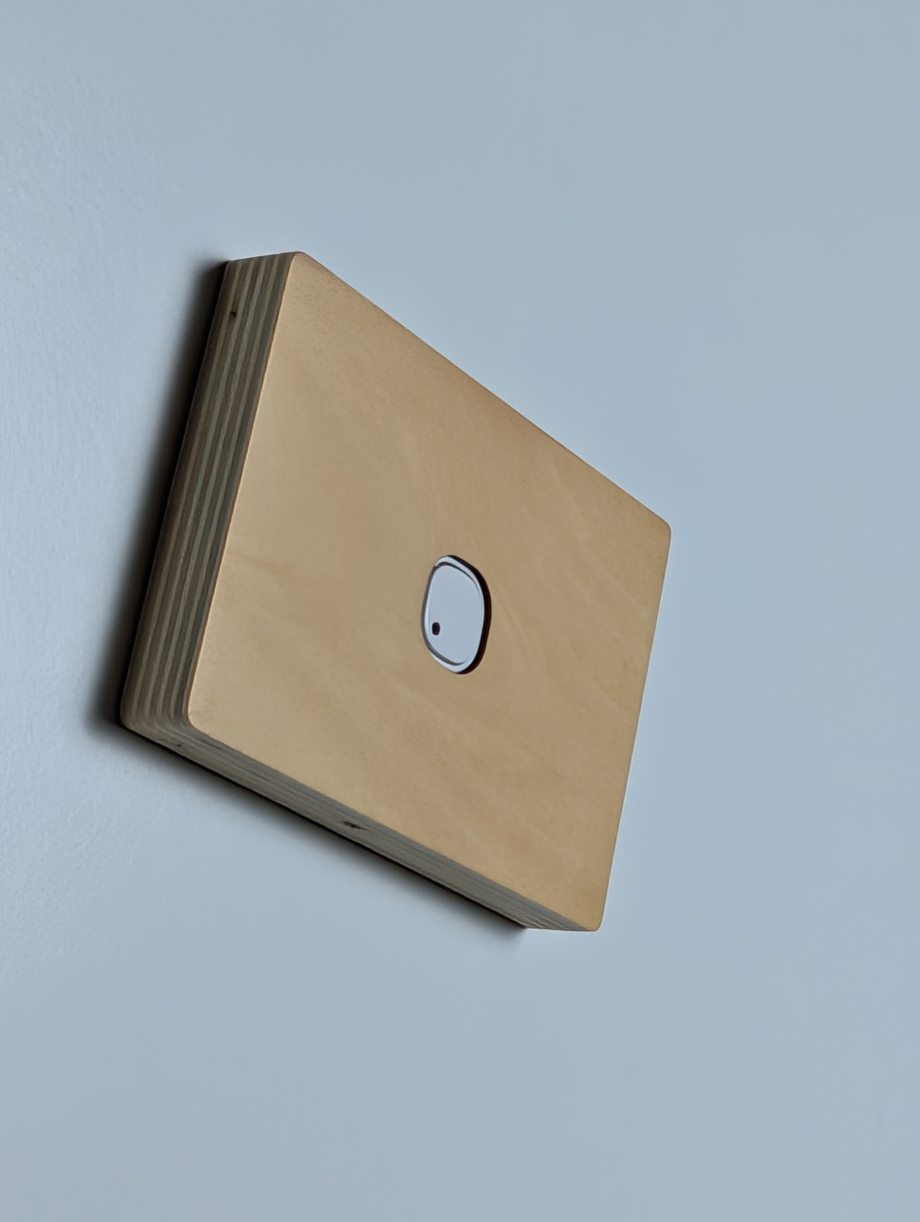 Plywood 1 Gang Cover