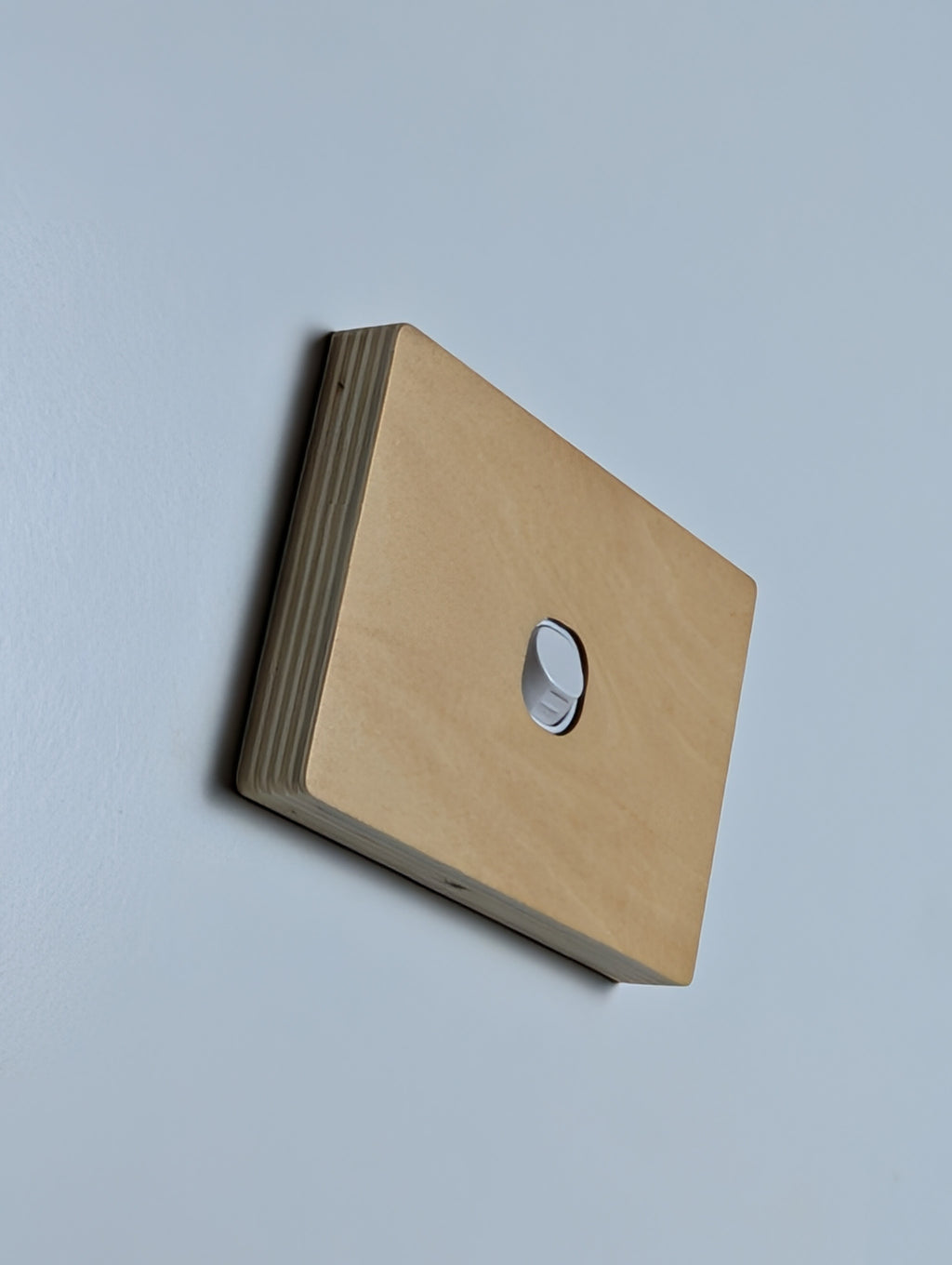 Plywood 1 Gang Cover