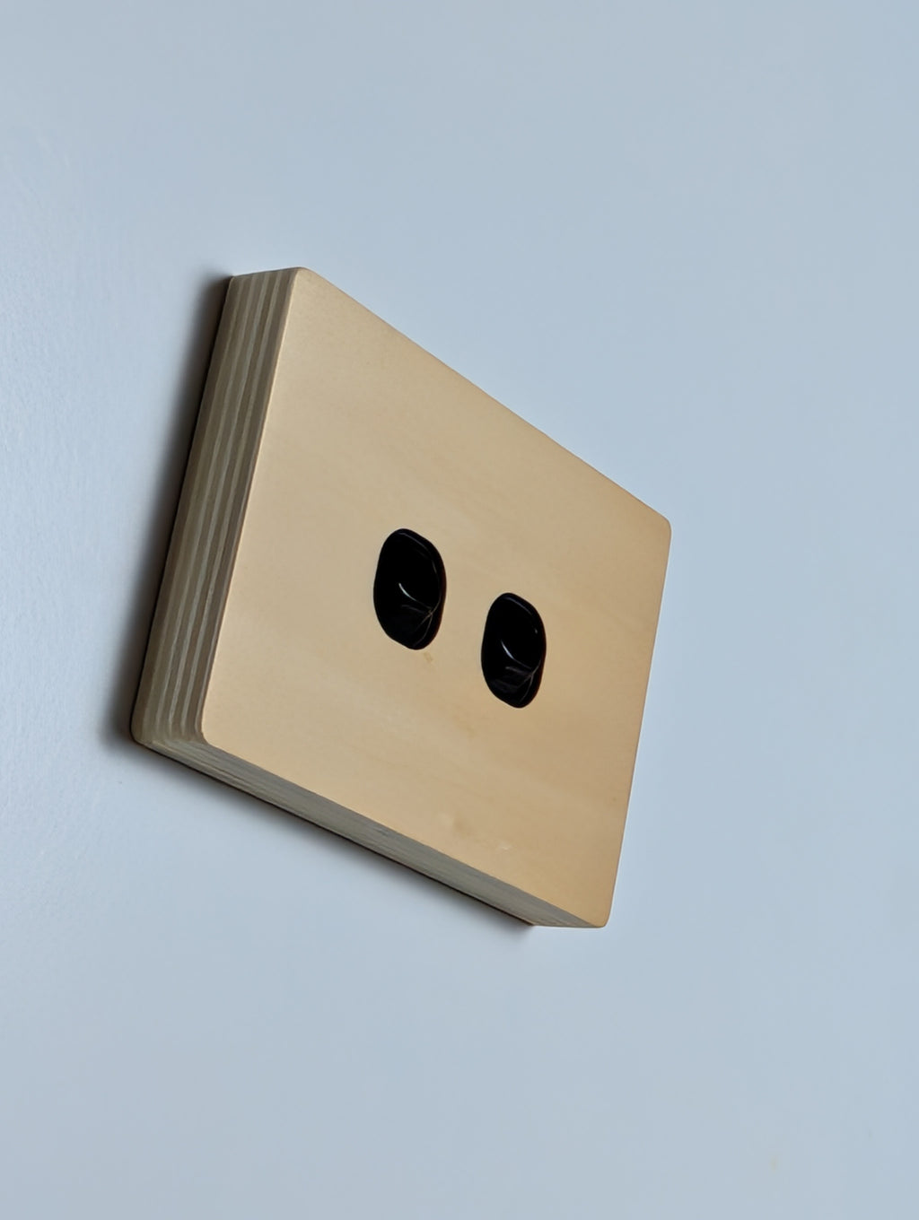 Plywood 2 Gang Cover