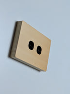 Plywood 2 Gang Cover