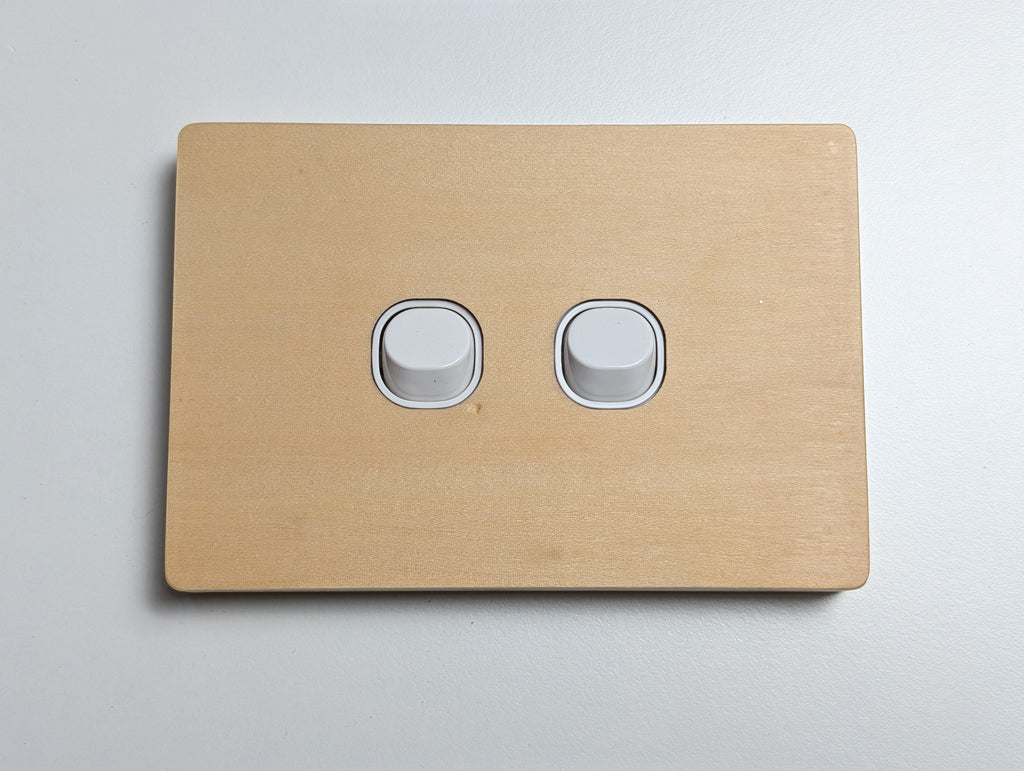 Plywood 2 Gang Cover