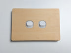 Plywood 2 Gang Cover